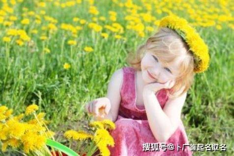 风水与名字：和谐共生的艺术