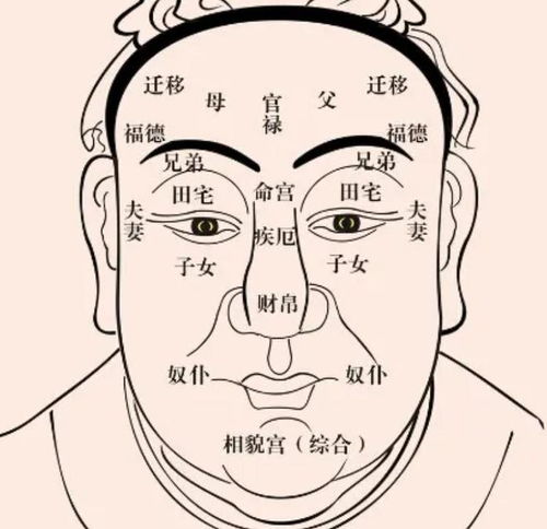 成功人士的脑门儿都这样