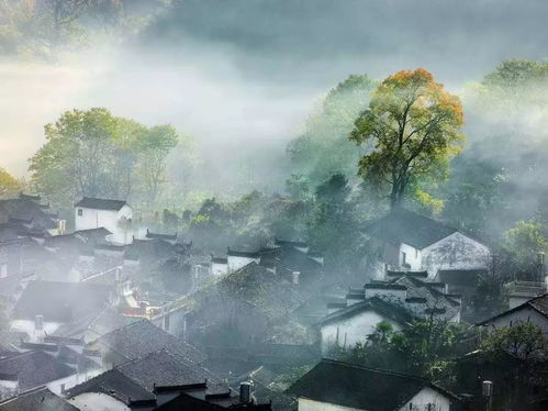 1.1 地理位置
