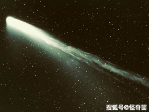 奥伯斯是个骗子？