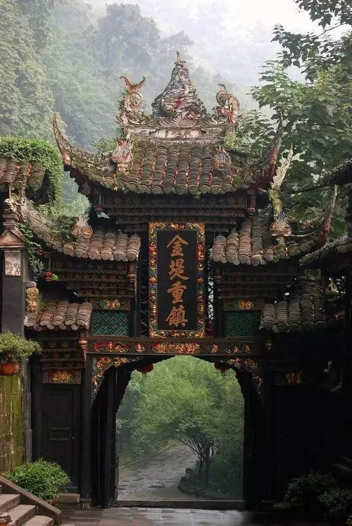 文化体验：穿越回古代当农民