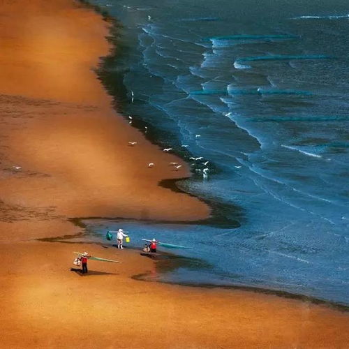 冬日海景：一场混乱的盛宴