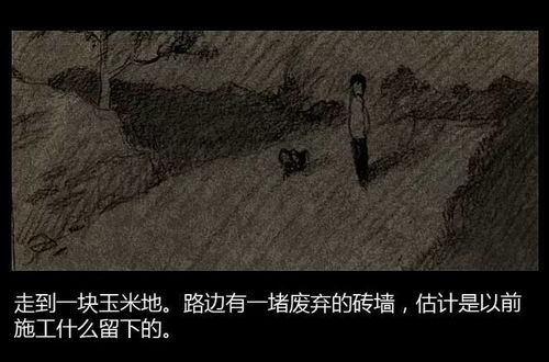 荒野中的怪谈与风水玄机
