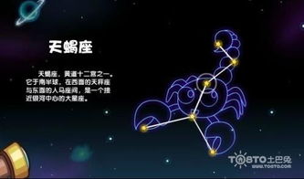 第3章：距离美学 - 若即若离才是王道