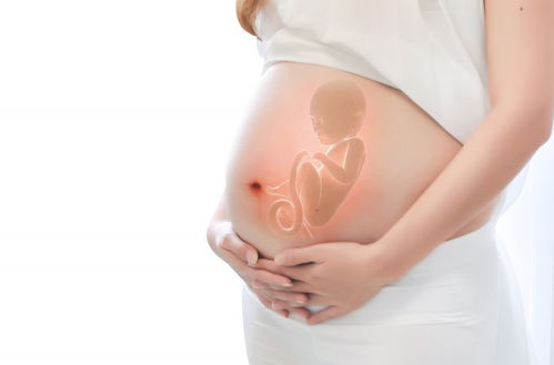 B组：PCOS 与 48 岁女性群体相互作用？