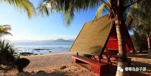 儋州：探索未知的惊喜