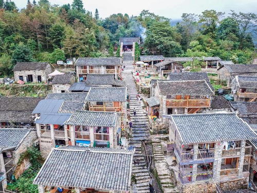 安新至高碑店游古村落——你真的准备好踏寻那份古韵了吗？