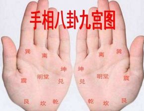 手指形状和关节：细微之处见真实章