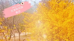今天穿什么衣服能旺桃花？桃花旺是什么意思？