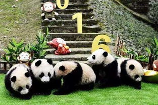 那个什么太阳产房也就是个名字好听