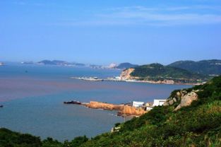 海鲜黑市交易现场