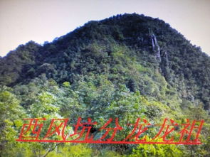 赖布衣风水宝地,赖布衣地理风水书