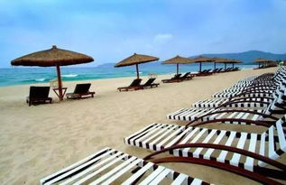 海底世界大揭秘