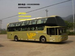 温馨提醒，抢票攻略！别让你的梦想之旅从失望开始...