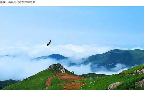 Day2：风车草甸撒野 露营初体验