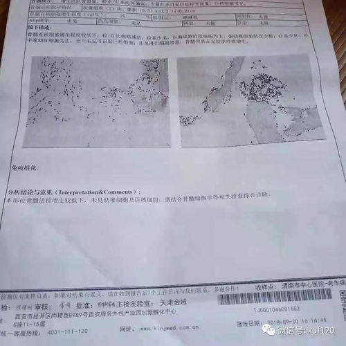 生肖星座大乱炖，谁适合谁倒霉