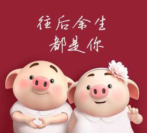 2020年属猪男性全年运势究竟如何？