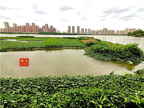 三、 探秘墨水湖公园：历史与自然的交融