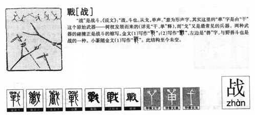 悦字取名，怎样体现含义解析与应用指南的内涵？