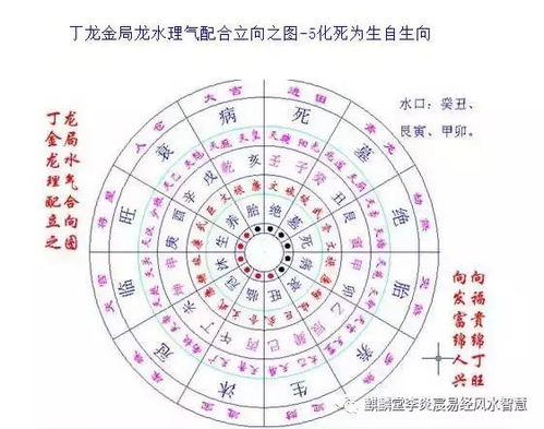 “者阝”与爱情的关系