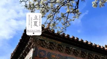奉化立夏节：古韵民俗，独特食俗，探寻奉化立夏风情