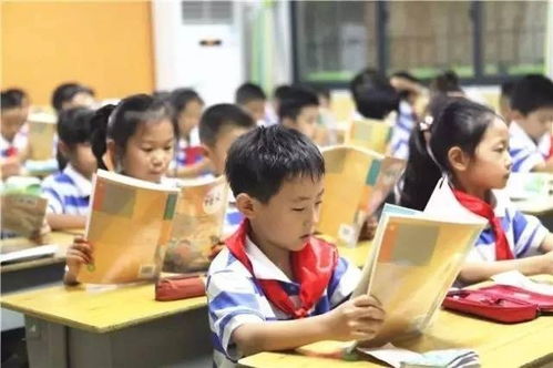 震惊！2026年这些生肖上小学会倒大霉？