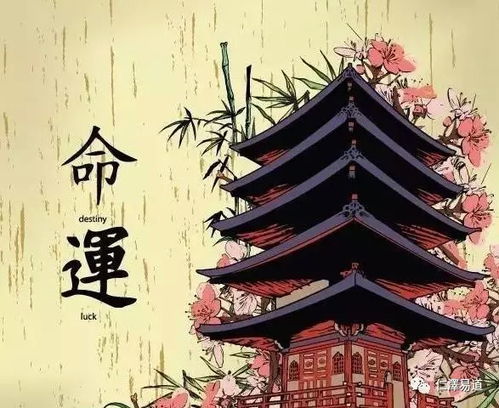 八字中丙丁巳午四柱，哪个火的力量最为旺盛？