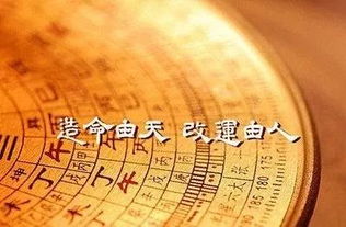 男命八字中藏干偏财较多，这样的生辰八字对女性命理有何影响？