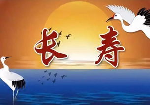 家啊家，我的破窝窝！