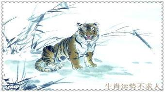 26年属虎的人，我的事业方位吉凶和今日偏财运方位分别是哪里？