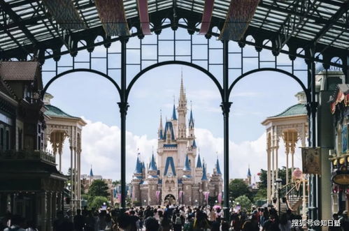 2024日本旅游：一场说走就走的冒险，但别踩坑！