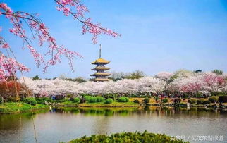 第一个必须要说的点：那个标志性的五重塔下面