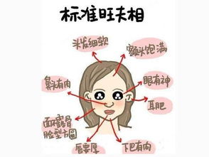 如何同过八字排盘判断女性命理中旺夫且贞洁的特征？