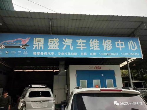 二、 实用又具吸引力的较小众名称清单