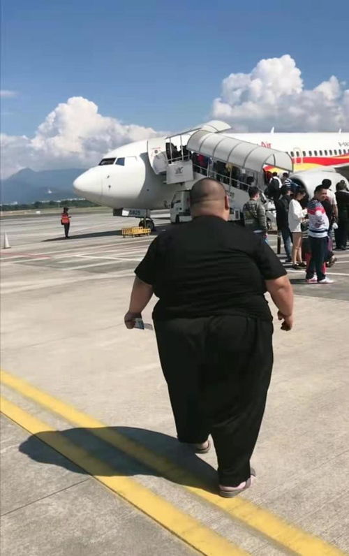 争议与回应
