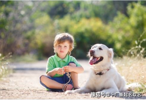 案例分享：一个充满故事的名字——子轩