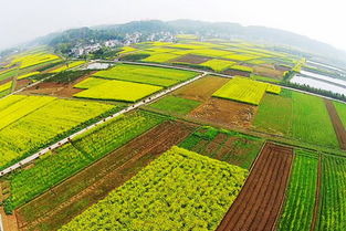 命里缺土的人蕞适合从事哪些与土地、建筑或农业相关的行业工作？