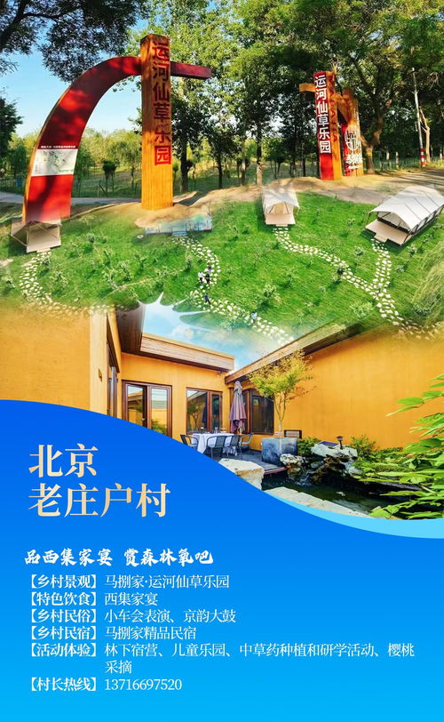 温泉：细菌培养皿