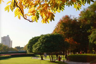 哎呀，春天到底什么时候才来啊？！