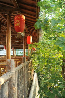 调料是个什么鬼？