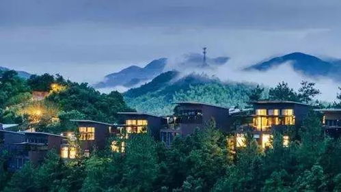 #6. 小青春溪边民宿 （超高性价比实验室）