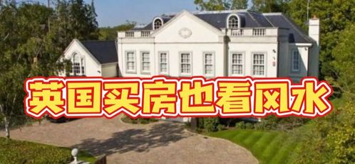 10. 绿化：生机盎然