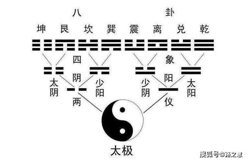请教专家与注沉重整体