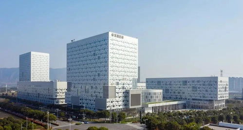 一、五行缺金与较高雅气质：名字背后的故事（哦，别忘了我！）