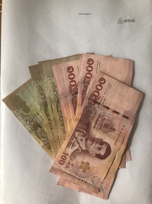 《中国风俗人情宝典：一网打尽，爆款必读》