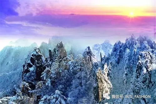 冰天雪地爬黄山？2026年黄历显示宜出行！这份吐血整理的魔幻攻略请收好