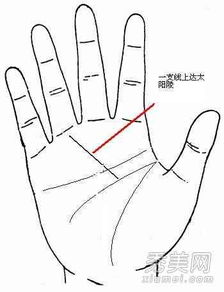 三豹纹：食指上的财富象征