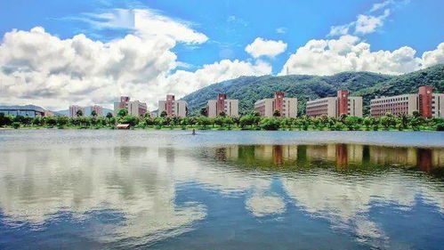 夏日之旅：黄金海岸乐园