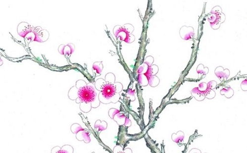 二、找桃花位？这操作也太骚了吧