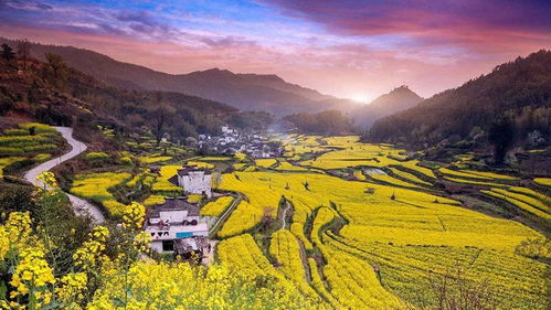 Day1 黄山：差点把命交代在山上